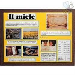 Poster `IL MIELE`cm. 50x70