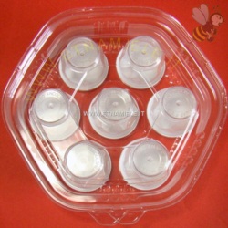 Apri scheda prodotto: Contenitore esagonale per 7 vasetti in plastica