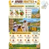 Apri scheda prodotto: Poster "Apiario Didattico"