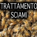 Sciami artificiali Articoli per attirare, catturare e trasportare sciami artificiali. Sciami artificiali